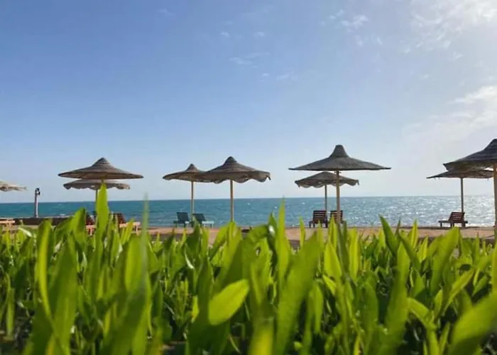 Resort Fanar